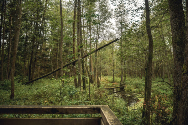 DSC_3027