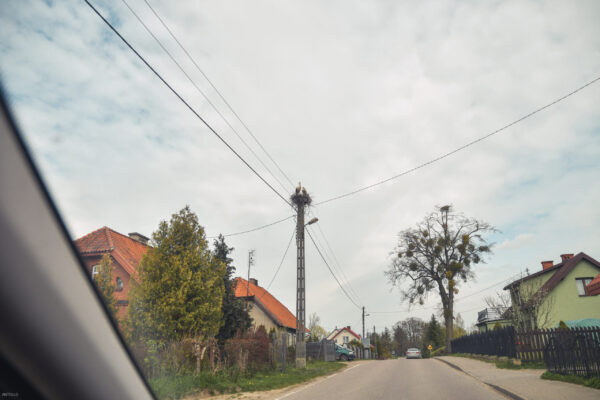 DSC_4919