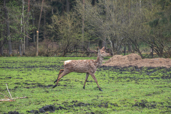 DSC_5085